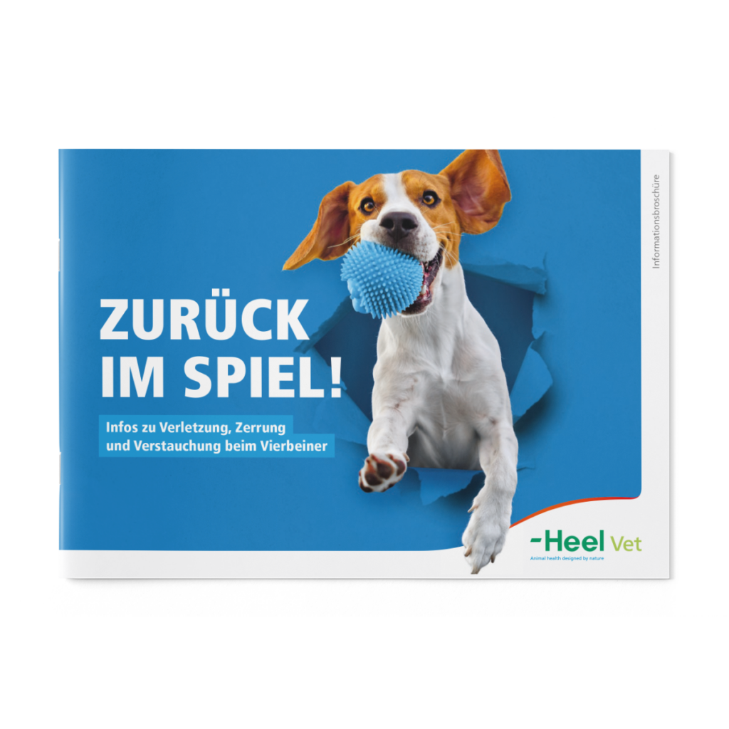 HeelVet_Zurueck-im-Spiel_Tierhalterbroschuere_0923