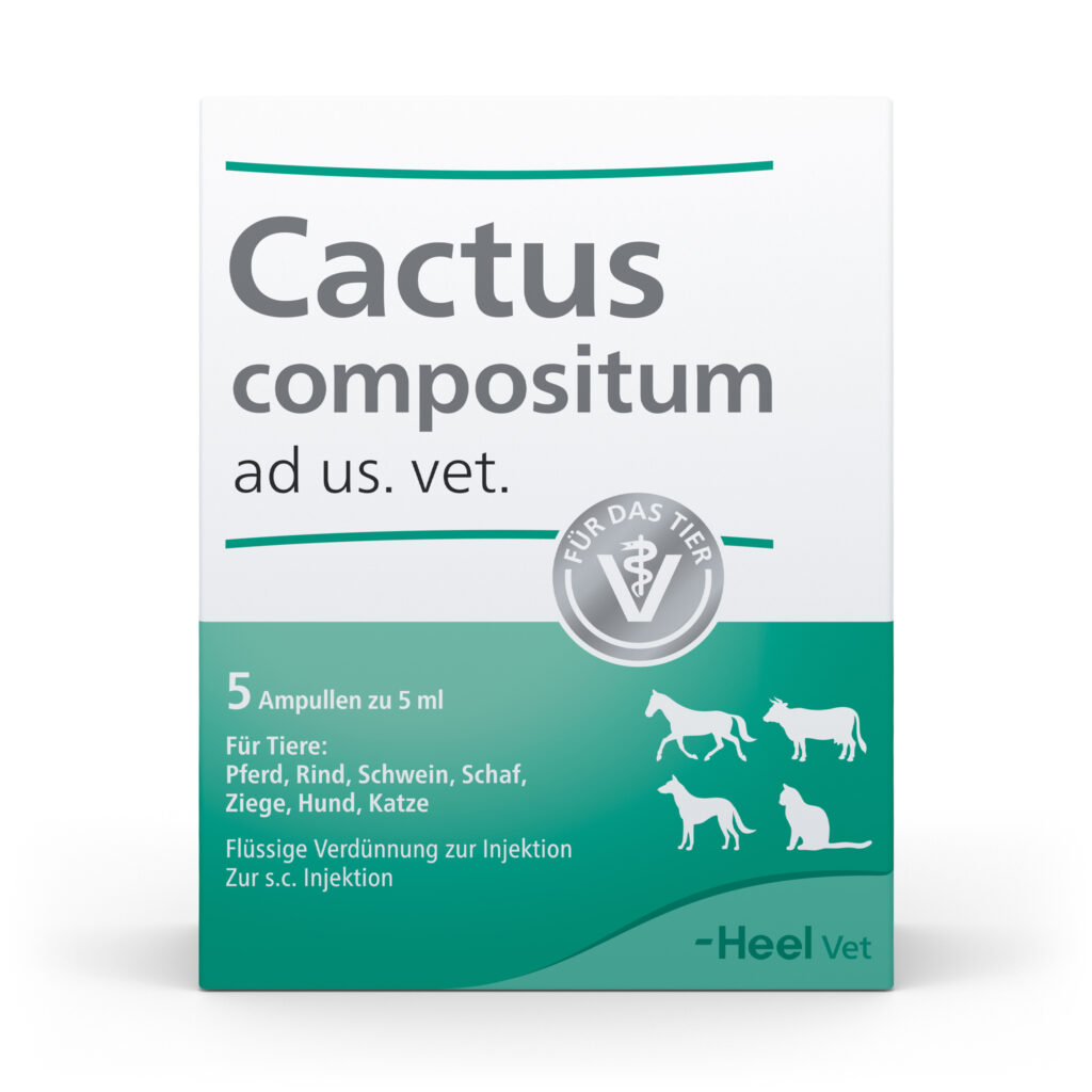 CactusCompositum_FS_5-Amp_1zu1