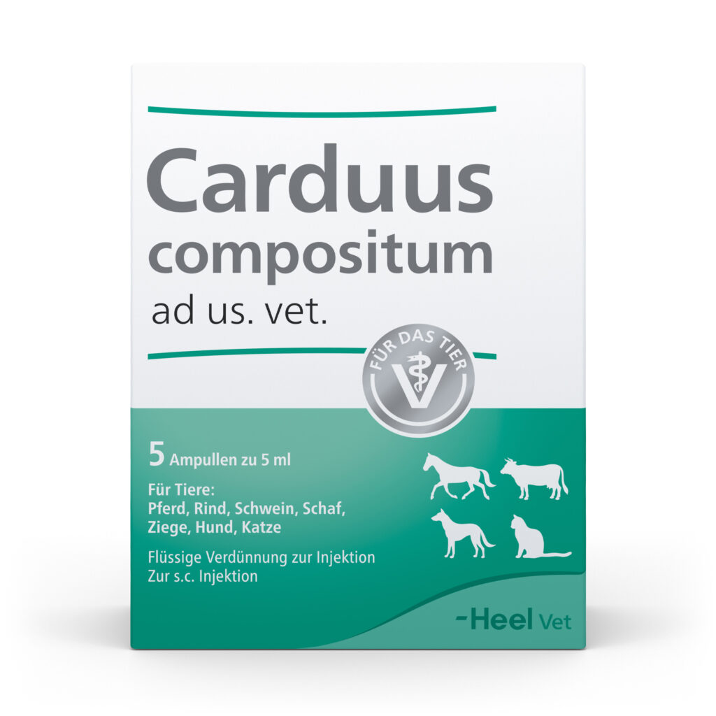 CardusCompositum_FS_5-Amp_1zu1