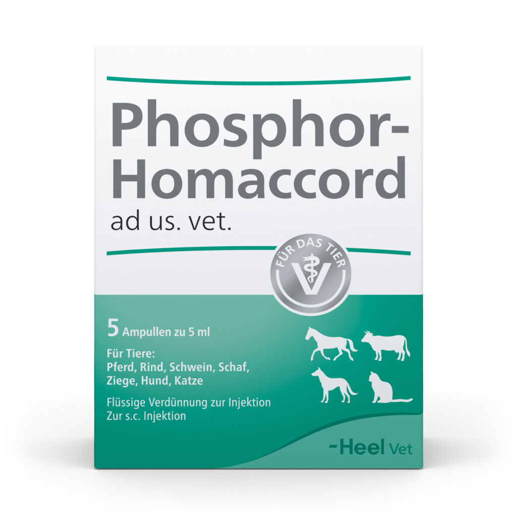 PhosphorHomaccord_FS_5-Amp_1zu1
